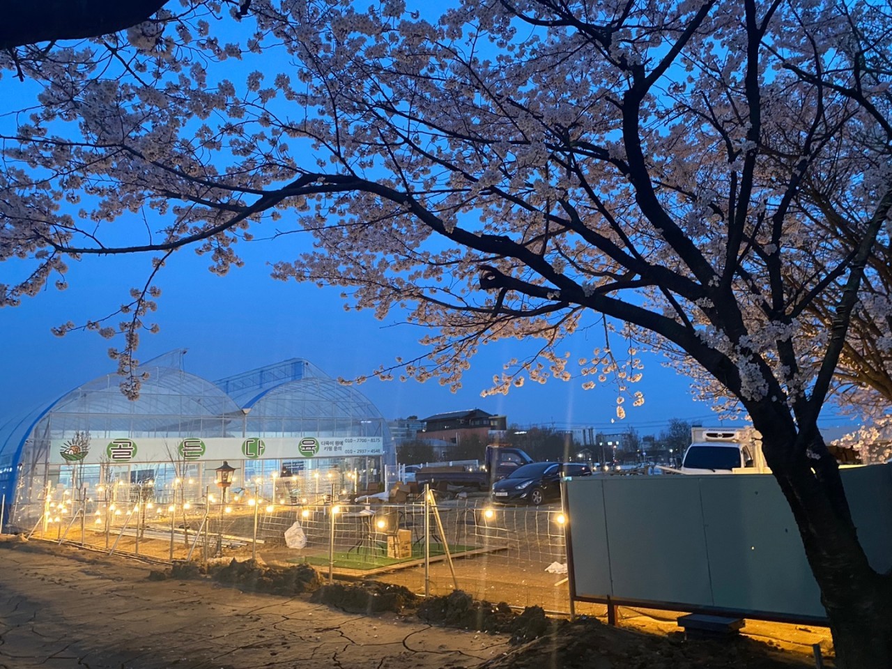 다육3