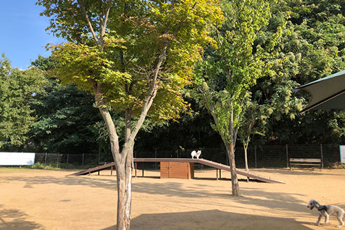 놀이터 전경사진