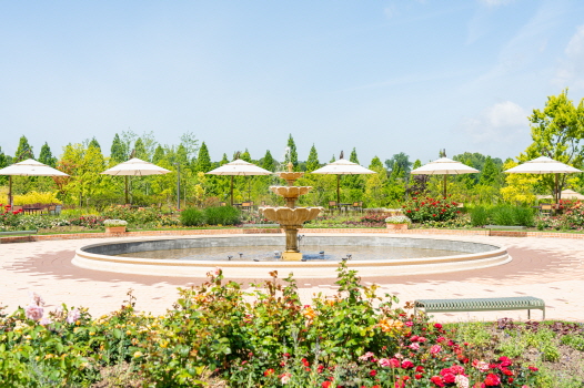 KBS2 '생방송 굿모닝 대한민국' 프로그램에 '더 살아있는 자연을, 시민의 일상으로' 일월수목원이 방영됩니다 :)  직원 여러분들의 많은 관심과 시청 바랍니다.  ○ 방영일시 : 2025. 5. 17.(토) 07:10~ ○ 방 송 사  : KBS