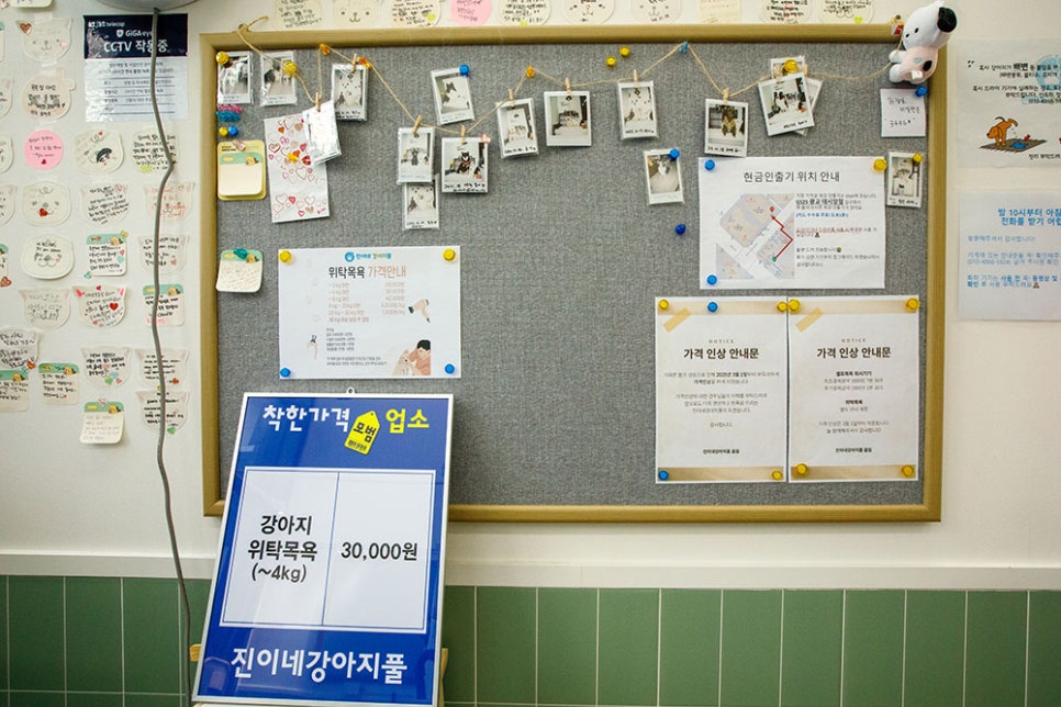 진이네 강아지풀 착한 품목은 강아지 위탁 목욕 30,000원입니다. 단 최대 4kg까지이고요. 반려견 무게별로 목욕비가 상이하니 참고하시면 좋을 거 같아요 ^^