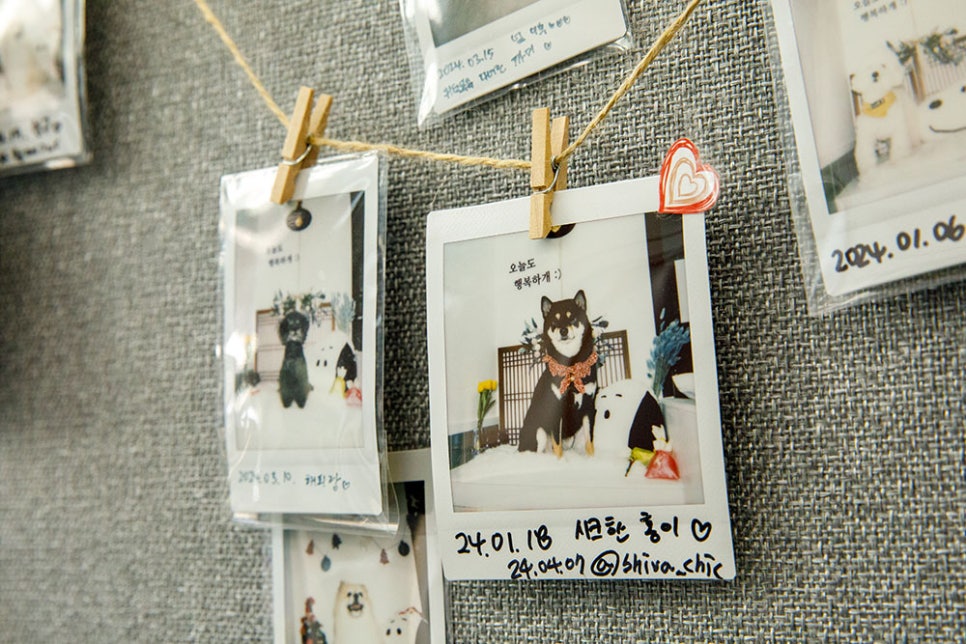 셀프 목욕이나 위탁목욕 등 가격이 착한데, 꼼꼼한 사장님이 매장을 깨끗하게 관리하고 있다 보니 자주 방문해 주시는 단골 분들이 많습니다. 다른 업소보다 깨끗하고 향이 좋다는 후기들이 많았어요.
