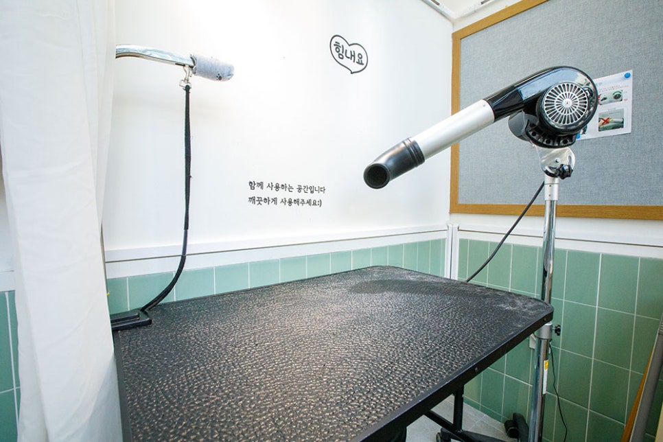 셀프 목욕을 하고 나서 뽀송하게 말릴 수 있는 드라이기 존도 마련돼 있어요. 모든 기계는 함께 사용하는 공간이기에 사용 후 깨끗하게 정돈해 주시면 좋을 거 같습니다.