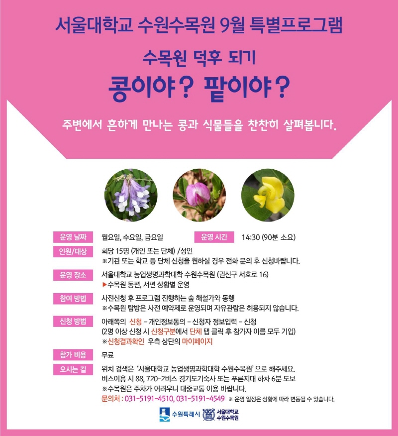 안내믄