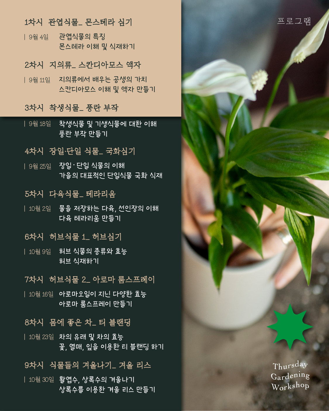 목요식물교실 직접 가드닝을 체험하며 실내가드닝 관리법을 배워봅시다.  일시 : 25년 9월 4일, 11일, 18일, 25일 10월 2일, 9일, 16일, 23일, 30일 매주 목요일 오전 10시 ~ 12시  장소 : 일월수목원 강의실1 영흥수목원 가든교육장(3층)  신청방법 : 각 수목원 홈페이지 > 교육 > 교육예약 > 목요식물 교실  대상 : 12명 모집  금액 : 5,000원  준비물 : 개인용 장바구니 (환경을 위해 비닐봉투는 제공되지 않습니다)  문의 : 031-369-2380 일월수목원 031-369-2390 영흥수목원