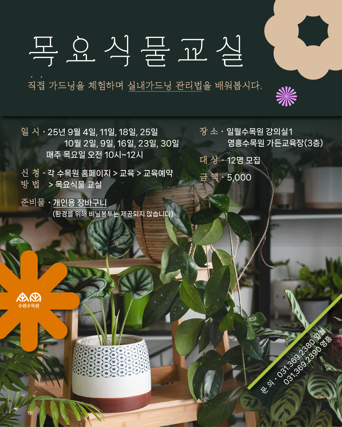 목요식물교실 직접 가드닝을 체험하며 실내가드닝 관리법을 배워봅시다.  일시 : 25년 9월 4일, 11일, 18일, 25일 10월 2일, 9일, 16일, 23일, 30일 매주 목요일 오전 10시 ~ 12시  장소 : 일월수목원 강의실1 영흥수목원 가든교육장(3층)  신청방법 : 각 수목원 홈페이지 > 교육 > 교육예약 > 목요식물 교실  대상 : 12명 모집  금액 : 5,000원  준비물 : 개인용 장바구니 (환경을 위해 비닐봉투는 제공되지 않습니다)  문의 : 031-369-2380 일월수목원 031-369-2390 영흥수목원