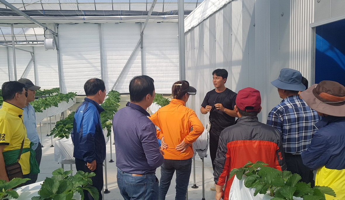 딸기 연구회 사진