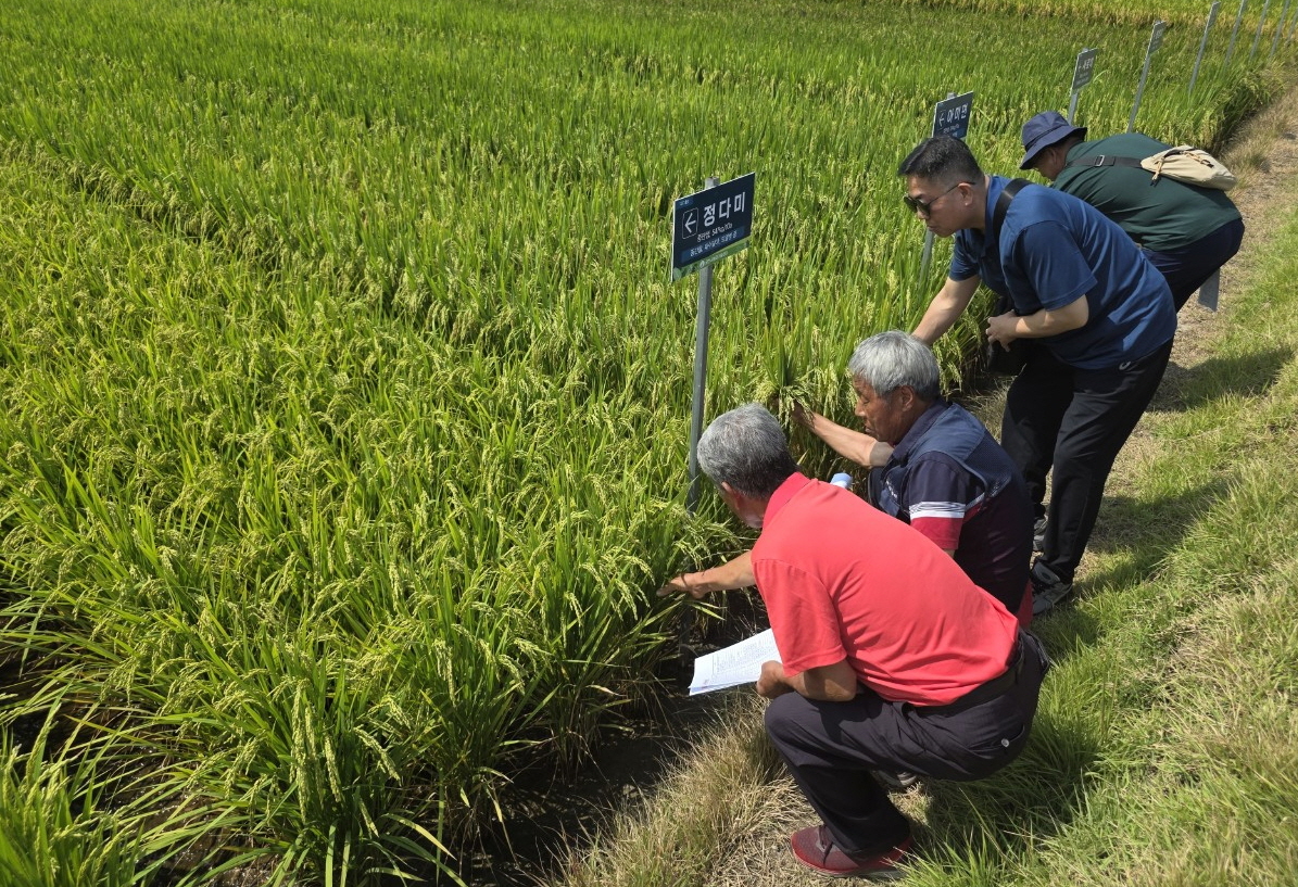 쌀 연구회 사진