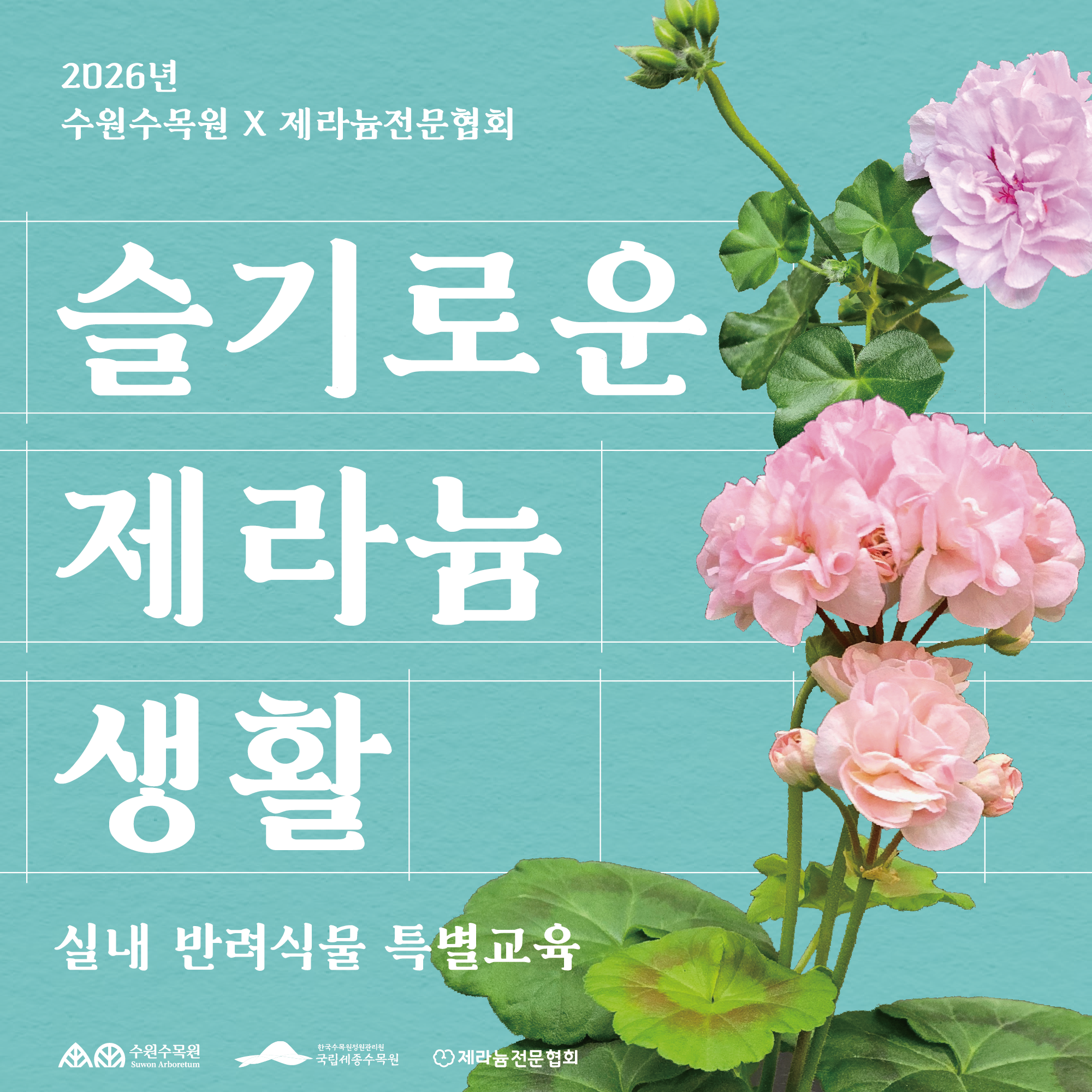 슬기로운 제라늄 생활 실내 반려식물 특별교육