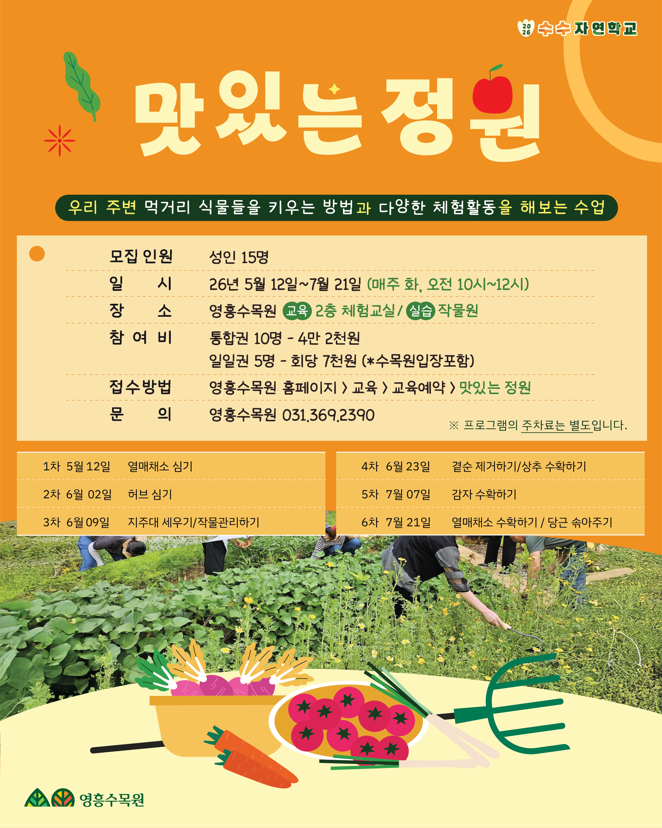 제목: 맛있는 정원 우리 주변 먹거리 식물들을 키우는 방법과 다양한 체험활동을 해보는 수업  1. 프로그램 개요 모집 인원: 성인 15명  일시: 2026년 5월 12일 ~ 7월 21일 (매주 화요일, 오전 10시 ~ 12시)  장소: 영흥수목원 (교육: 2층 체험교실 / 실습: 작물원)  참여비: * 통합권(10명): 4만 2천 원  일일권(5명): 회당 7천 원 (*수목원 입장료 포함)  접수방법: 영흥수목원 홈페이지 > 교육 > 교육예약 > '맛있는 정원' 선택  문의: 영흥수목원 031-369-2390  기타: 프로그램 주차료는 별도입니다.  2. 세부 일정 (총 6차) 1차 (5월 12일): 열매채소 심기  2차 (6월 02일): 허브 심기  3차 (6월 09일): 지주대 세우기 / 작물 관리하기  4차 (6월 23일): 곁순 제거하기 / 상추 수확하기  5차 (7월 07일): 감자 수확하기  6차 (7월 21일): 열매채소 수확하기 / 당근 솎아주기  3. 시각 요소 설명 상단: 오렌지색 배경에 '맛있는 정원'이라는 큰 글씨와 나뭇잎, 사과 일러스트가 배치됨.  중단: 상세 정보가 담긴 표가 있으며, 우측 하단에는 사람들이 밭에서 작물을 가꾸는 실물 사진이 삽입됨.  하단: 바구니에 담긴 채소(무, 당근, 토마토 등)와 농기구 일러스트가 그려져 있으며, 왼쪽 하단에 '영흥수목원' 로고가 위치함.  우측 상단: '수수 자연학교' 로고와 '2026' 연도가 표시됨.