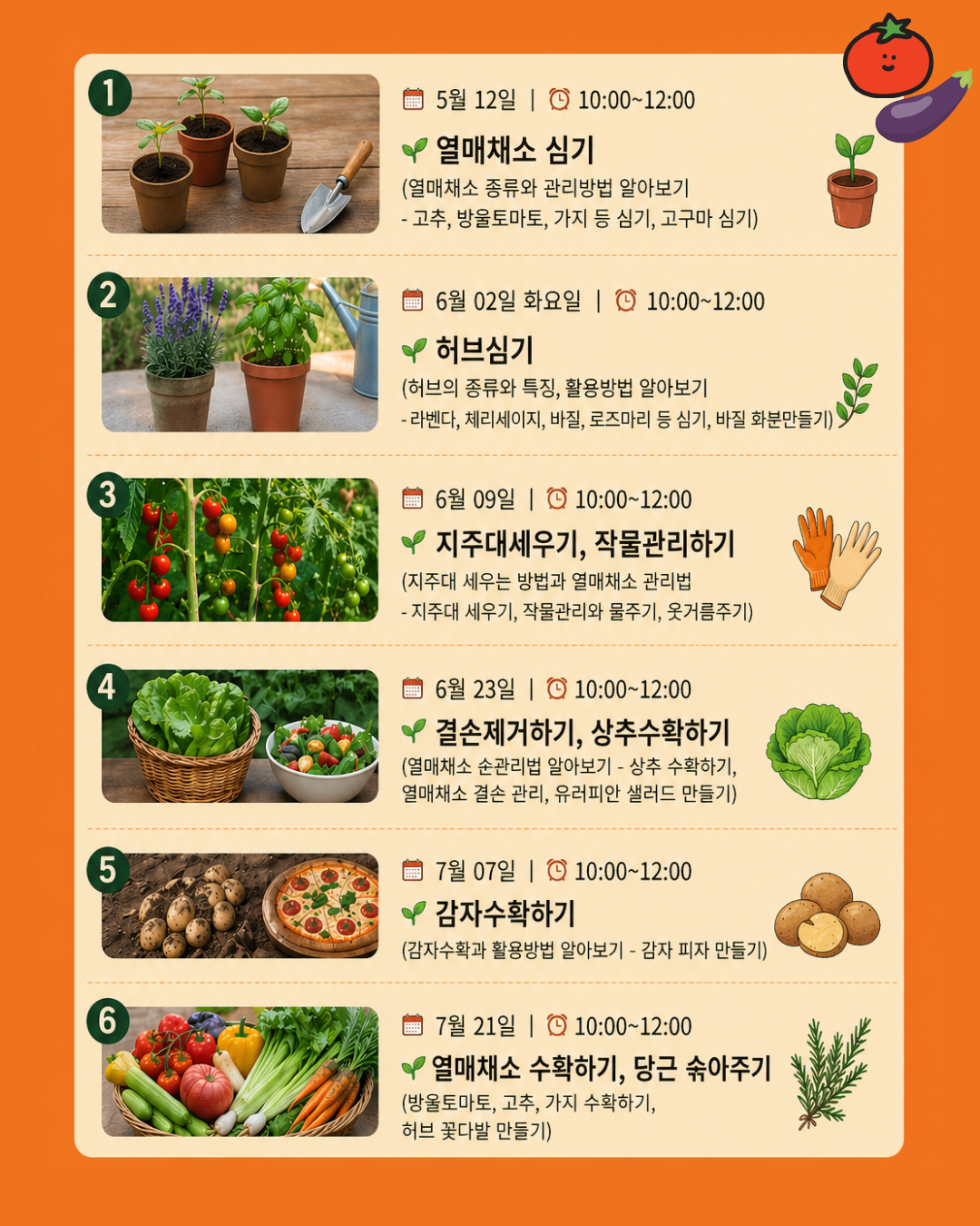 본 이미지는 원예 및 작물 재배 교육 프로그램의 일정을 담고 있는 안내문입니다. 총 6회차로 구성되어 있으며, 각 회차별 날짜, 시간, 주요 활동 내용이 포함되어 있습니다.  [상세 내용 추출] 1회차: 열매채소 심기  일시: 5월 12일 | 10:00~12:00  내용: 열매채소 종류와 관리방법 알아보기  세부 활동: 고추, 방울토마토, 가지 등 심기, 고구마 심기  2회차: 허브 심기  일시: 6월 02일 화요일 | 10:00~12:00  내용: 허브의 종류와 특징, 활용방법 알아보기  세부 활동: 라벤더, 체리세이지, 바질, 로즈마리 등 심기, 바질 화분 만들기  3회차: 지주대 세우기, 작물 관리하기  일시: 6월 09일 | 10:00~12:00  내용: 지주대 세우는 방법과 열매채소 관리법  세부 활동: 지주대 세우기, 작물 관리와 물주기, 웃거름 주기  4회차: 곁순 제거하기, 상추 수확하기  일시: 6월 23일 | 10:00~12:00  내용: 열매채소 순 관리법 알아보기  세부 활동: 상추 수확하기, 열매채소 곁순 관리, 유러피안 샐러드 만들기  5회차: 감자 수확하기  일시: 7월 07일 | 10:00~12:00  내용: 감자 수확과 활용방법 알아보기  세부 활동: 감자 피자 만들기  6회차: 열매채소 수확하기, 당근 솎아주기  일시: 7월 21일 | 10:00~12:00  내용: 방울토마토, 고추, 가지 수확하기  세부 활동: 허브 꽃다발 만들기