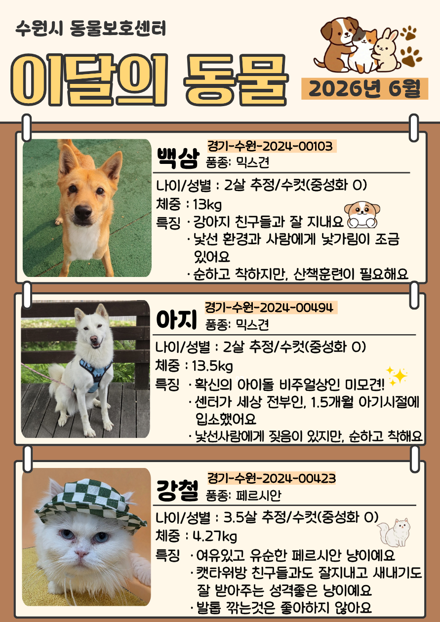홍보
