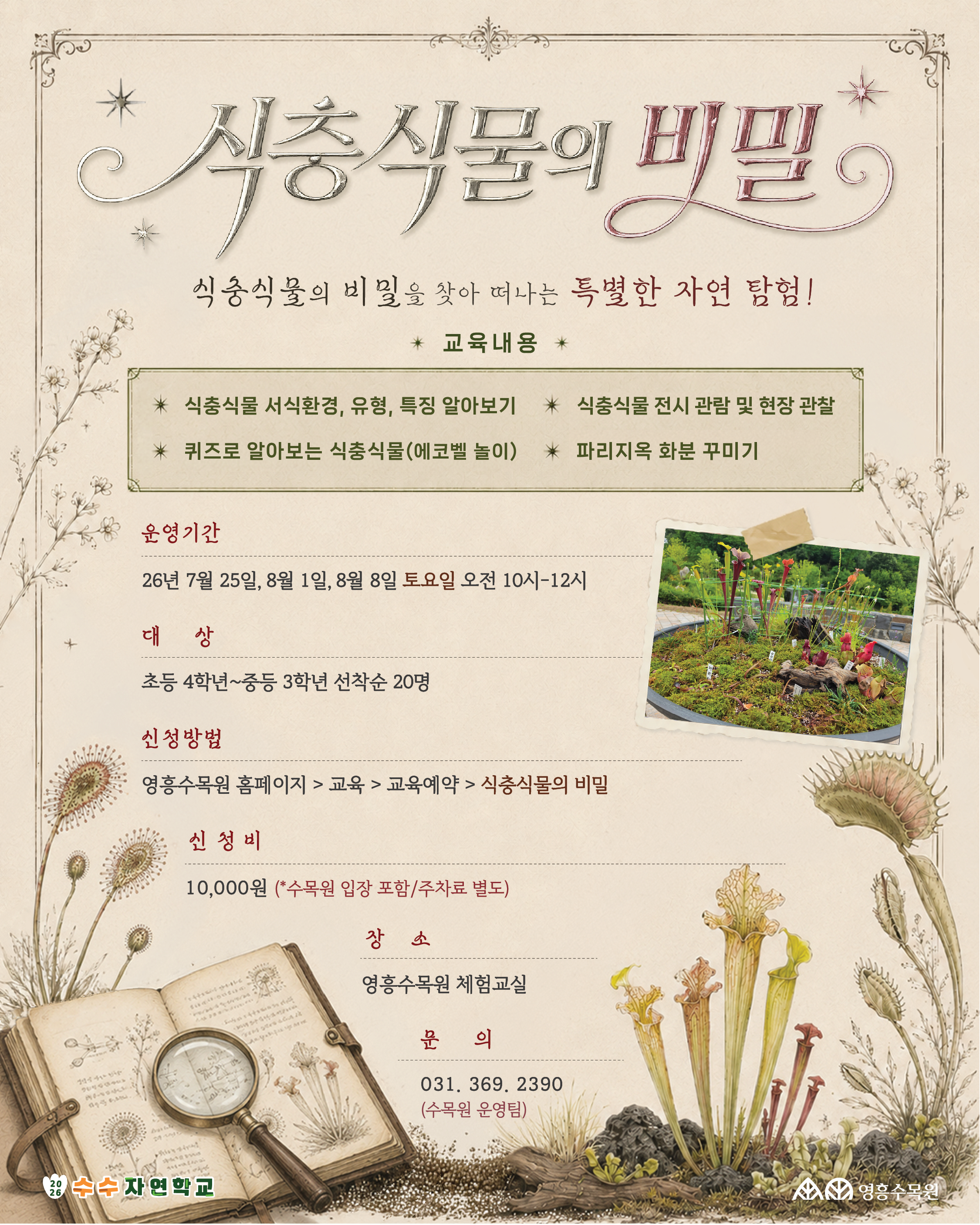 식충식물의 비밀 포스터 대체 텍스트 [타이틀] 식충식물의 비밀  식충식물의 비밀을 찾아 떠나는 특별한 자연 탐험!  수수 자연학교 / 영흥수목원  [교육내용] 식충식물 서식환경, 유형, 특징 알아보기  식충식물 전시 관람 및 현장 관찰  퀴즈로 알아보는 식충식물 (에코벨 놀이)  파리지옥 화분 꾸미기  [상세 안내 정보] 운영기간  26년 7월 25일, 8월 1일, 8월 8일 토요일 오전 10시~12시  대상  초등 4학년 ~ 중등 3학년 선착순 20명  신청방법  영흥수목원 홈페이지 > 교육 > 교육예약 > 식충식물의 비밀  신청비  10,000원 (*수목원 입장 포함 / 주차료 별도)  장소  영흥수목원 체험교실  문의  031-369-2390 (수목원 운영팀)  시각 정보 요약: 포스터 배경은 은은한 한지 느낌의 미색이며, 상단과 하단에는 끈끈이주걱, 파리지옥, 네펜데스 등 다양한 식충식물 일러스트와 돋보기가 놓인 고서 일러스트가 배치되어 있습니다. 우측 중앙에는 실제 수목원에 전시된 식충식물 화단 사진이 삽입되어 있습니다.