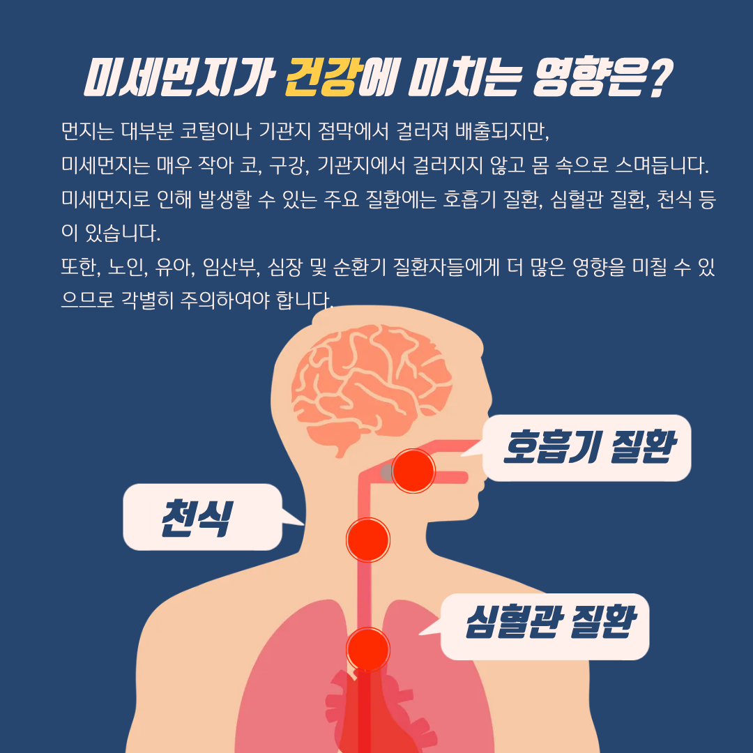 미세먼지가 건강에 미치는 영향은? 먼지는 대부분 코털이나 기관지 점막에서 걸러져 배출되지만, 미세먼지는 매우 작아 코, 구강, 기관지에서 걸러지지 않고 몸 속으로 스며듭니다. 미세먼지로 인해 발생할 수 있는 주요 질환에는 호흡기 질환, 심혈관 질환, 천식 등이 있습니다. 또한, 노인, 유아, 임산부, 심장 및 순환기 질환자들에게 더 많은 영향을 미칠 수 있으므로 각별히 주의하여야 합니다.